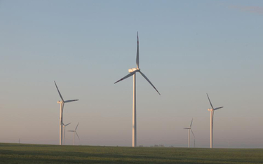 Elektrownie wiatrowe: jak zaplanować biznes związany z morską energetyką wiatrową