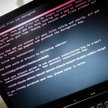 Kogo zaraził wirus Petya? Polska w czołówce
