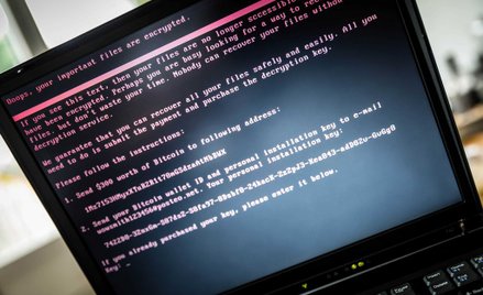 Kogo zaraził wirus Petya? Polska w czołówce