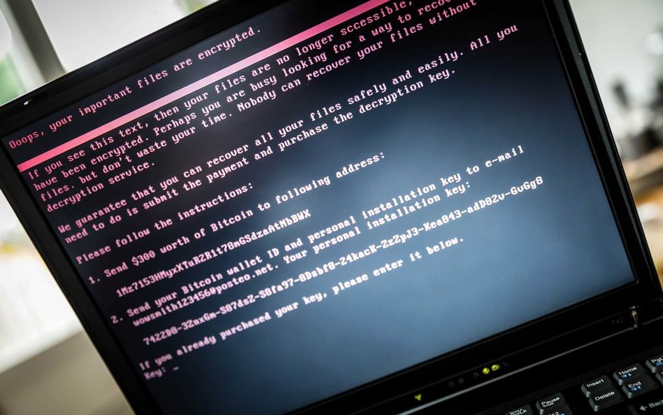 Kogo zaraził wirus Petya? Polska w czołówce