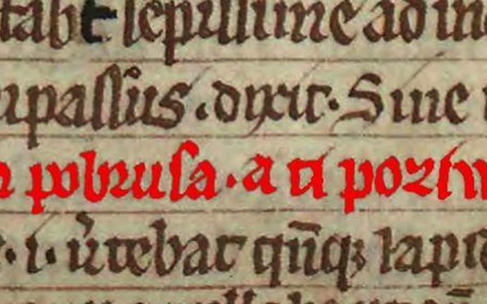 Najstarsze zdanie zapisane w 1270 roku w języku polskim w Księdze henrykowskiej