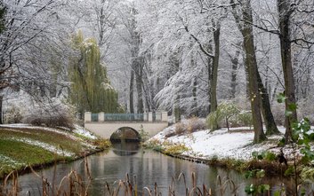 Cieszmy się zimową aurą, wiedząc, że słońce jest już na ścieżce wzrostowej. Spacer w parku, np. w Ła