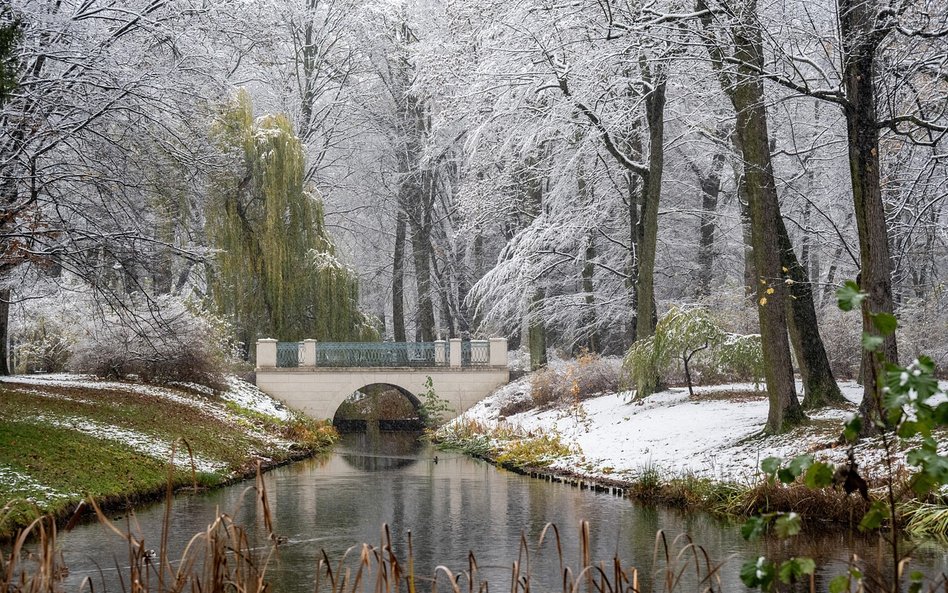 Cieszmy się zimową aurą, wiedząc, że słońce jest już na ścieżce wzrostowej. Spacer w parku, np. w Ła