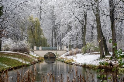 Cieszmy się zimową aurą, wiedząc, że słońce jest już na ścieżce wzrostowej. Spacer w parku, np. w Ła