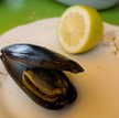 Małże najlepiej smakują z cytryną