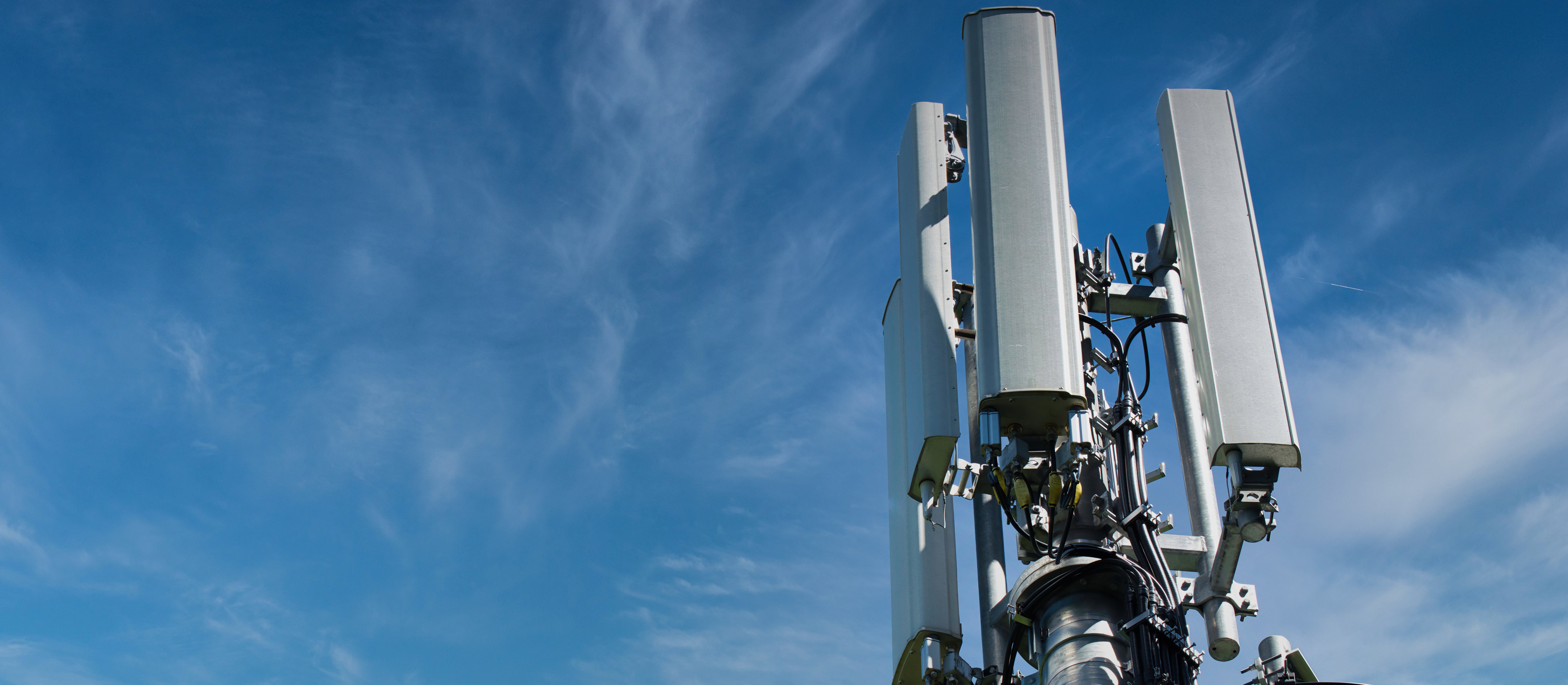 Plus i T-Mobile zapłaciły państwu ponad 1 mld zł