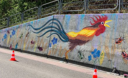 Dzieci wykonały mural z kogutem. Ksiądz połączył to z LGBT