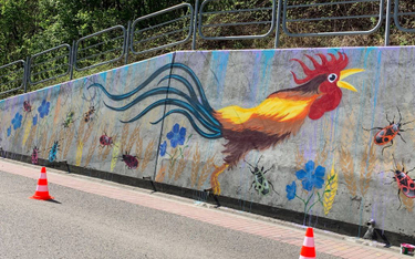 Dzieci wykonały mural z kogutem. Ksiądz połączył to z LGBT