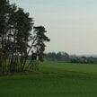 Myśliwi redukują zwierzynę w miejscach newralgicznych, często dyżurują przy uprawach
