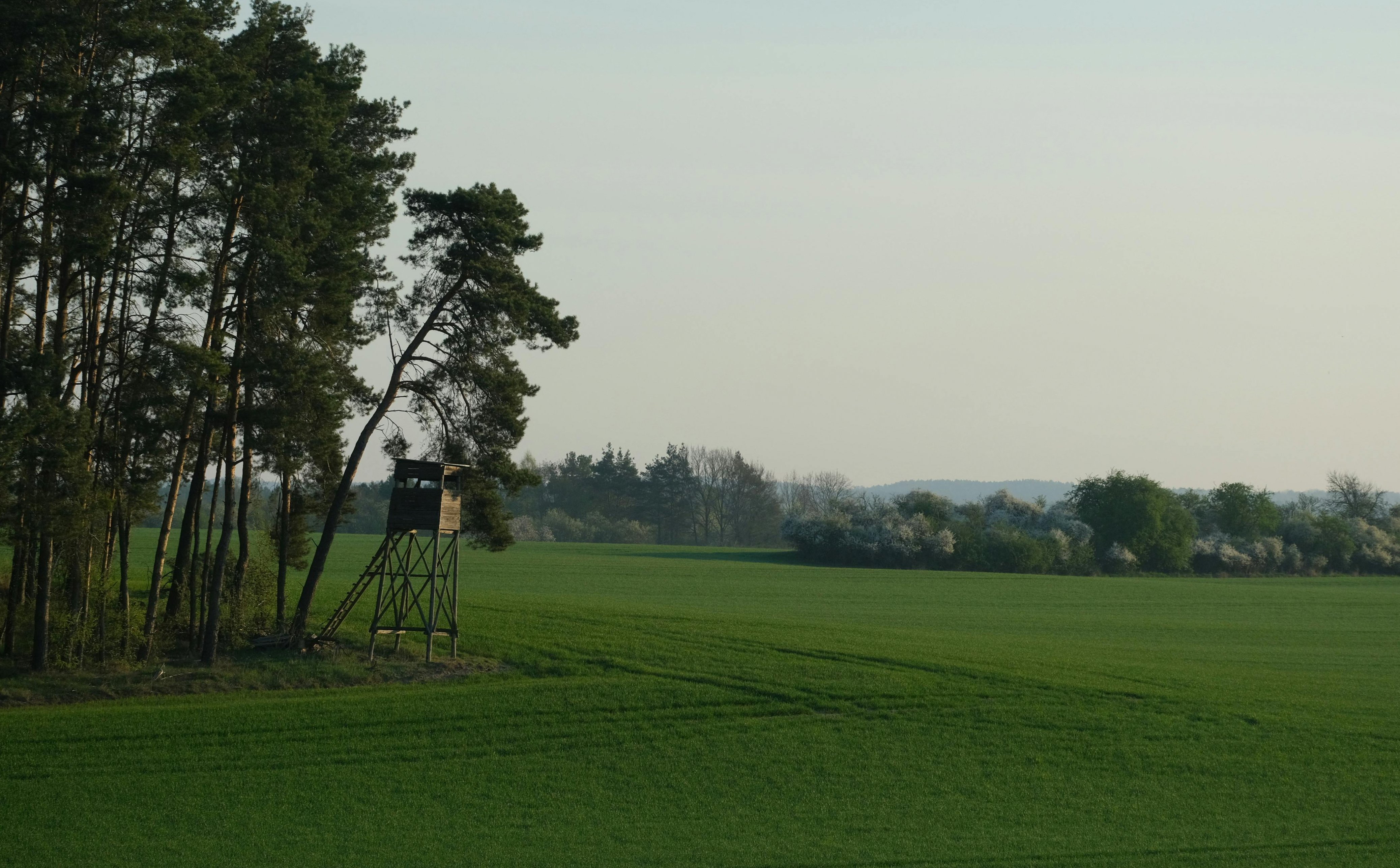 Нужны ли охотники?