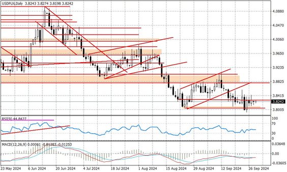 Wykres dzienny USDPLN
