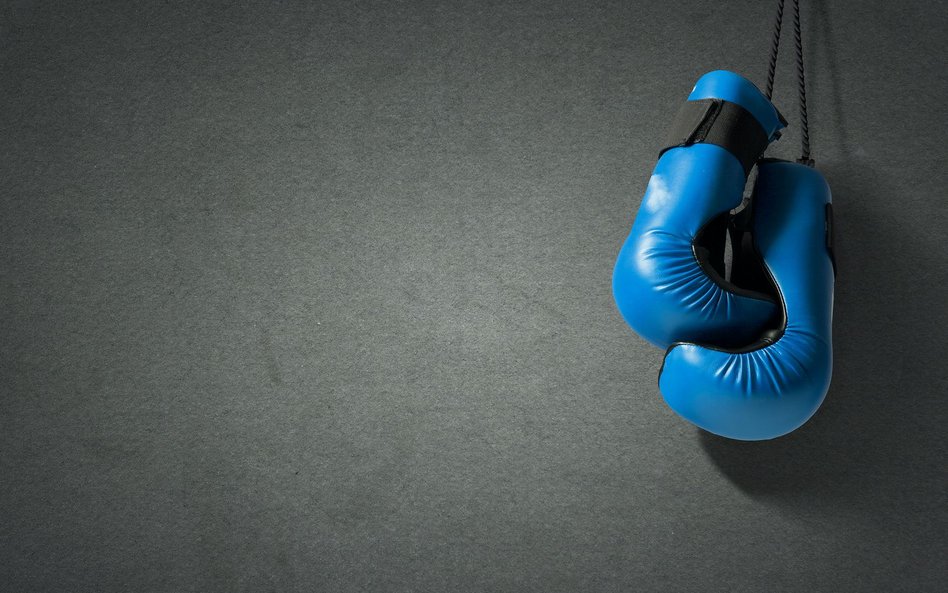 Suzuki Boxing Night V: Młode wilki atakują
