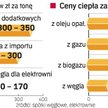 Nie gaz, nie olej, ale węgiel ogrzewa najtaniej. Nawet gdy zdrożeje o 20 czy 30 proc. Większym probl