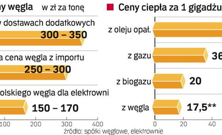 Nie gaz, nie olej, ale węgiel ogrzewa najtaniej. Nawet gdy zdrożeje o 20 czy 30 proc. Większym probl