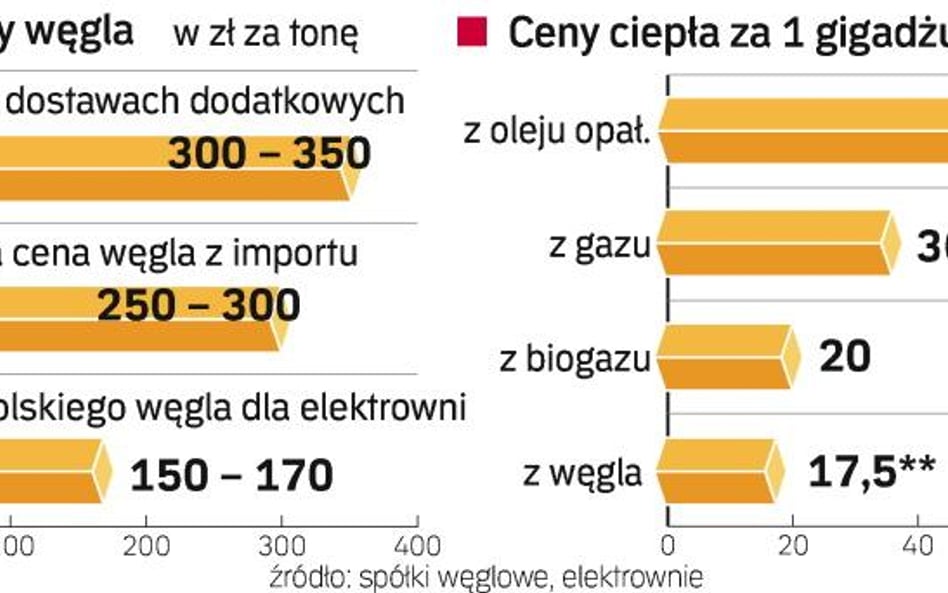 Nie gaz, nie olej, ale węgiel ogrzewa najtaniej. Nawet gdy zdrożeje o 20 czy 30 proc. Większym probl