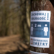 8 zgonów, 353 przypadki zakażeń. Już blisko 40 tysięcy
