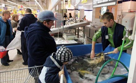 Biedny karp czy smaczy karp - dwugłos