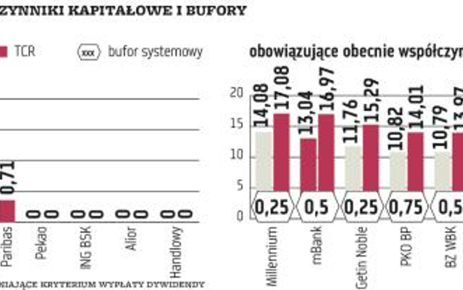 Nowe bufory dla banków na razie nie zagrożą dywidendom