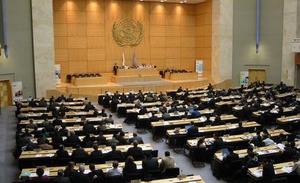 Apel do ONZ: Zakażcie tworzenia robotów-zabójców