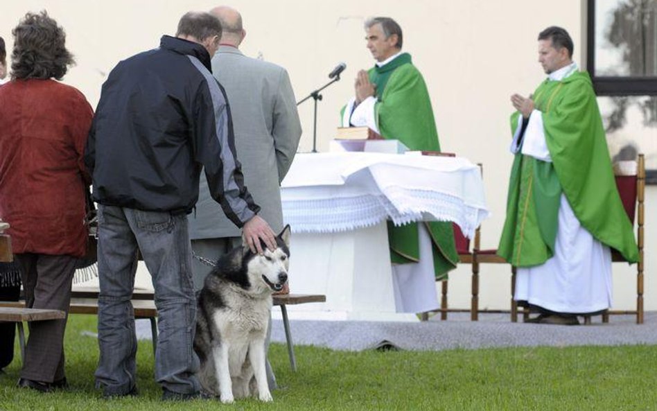 Światowy Dzień Zwierząt. Weekend adopcji zwierząt