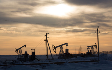 Gwałtowny spadek eksportu rosyjskiej ropy. Sankcje zatrzymują rafinerię Łukoilu