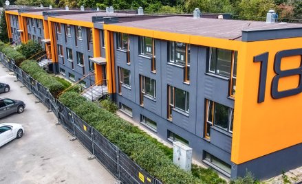 Pole-Mokotowskie.pl na finiszu. Zamieszkały tam już jerzyki