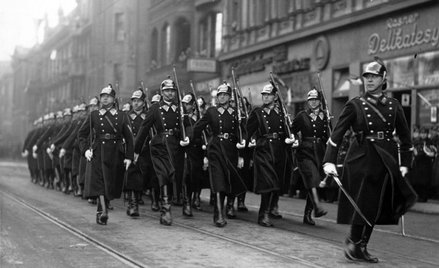 Policja województwa śląskiego - zgładzona formacja