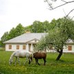 Agencja towarzyska to nie agroturystyka