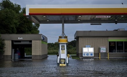 USA: Ofiary huraganu mają nie bojkotować Izraela