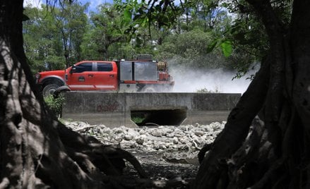 Z podobnym problemem Stany Zjednoczone zmagały się już w ubiegłym roku, wtedy susza dotknęła między 