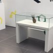 Studenci zostawili w galerii ananasa. Został pomylony ze sztuką