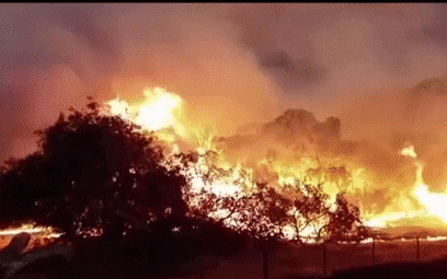 Pożary znów niszczą Australię, a to dopiero początek. Czy czeka nas powtórka koszmaru?