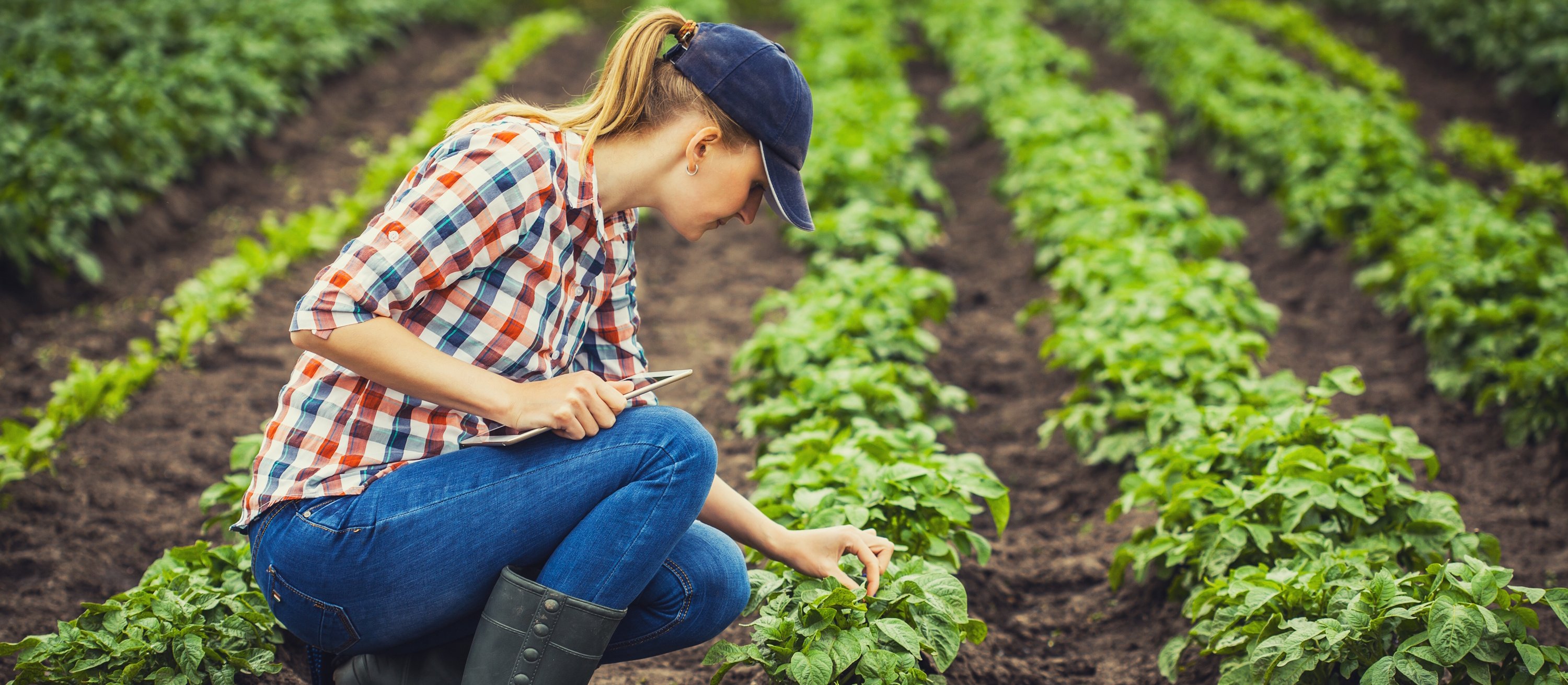Stereotyp męskiej wsi odchodzi do lamusa. Tak Polki prowadzą gospodarstwa rolne