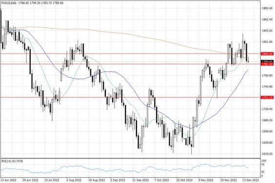 Notowania złota – dane dzienne