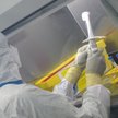 Dr hab. Tomasz Sarnowski: Lek na Covid-19 jest w naturze