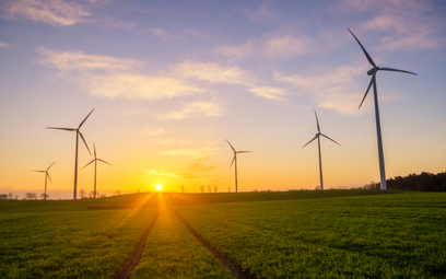 Większość Polek i Polaków (67 proc.) domaga się szybszego przejścia na zieloną energię – na przykład