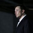 Musk chciał sprzedać Teslę Apple’owi