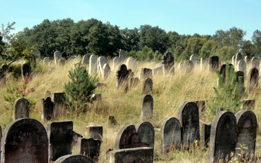Koalicja ratuje cmentarze Żydów