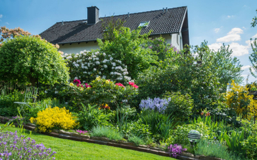 Sprzedaż ogródka działkowego a PIT: altanka bez podatku, a co z domkiem?