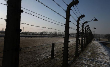 KL Auschwitz