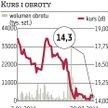 Sklejkowy biznes Pagedu trafi na giełdę w 2012 r.