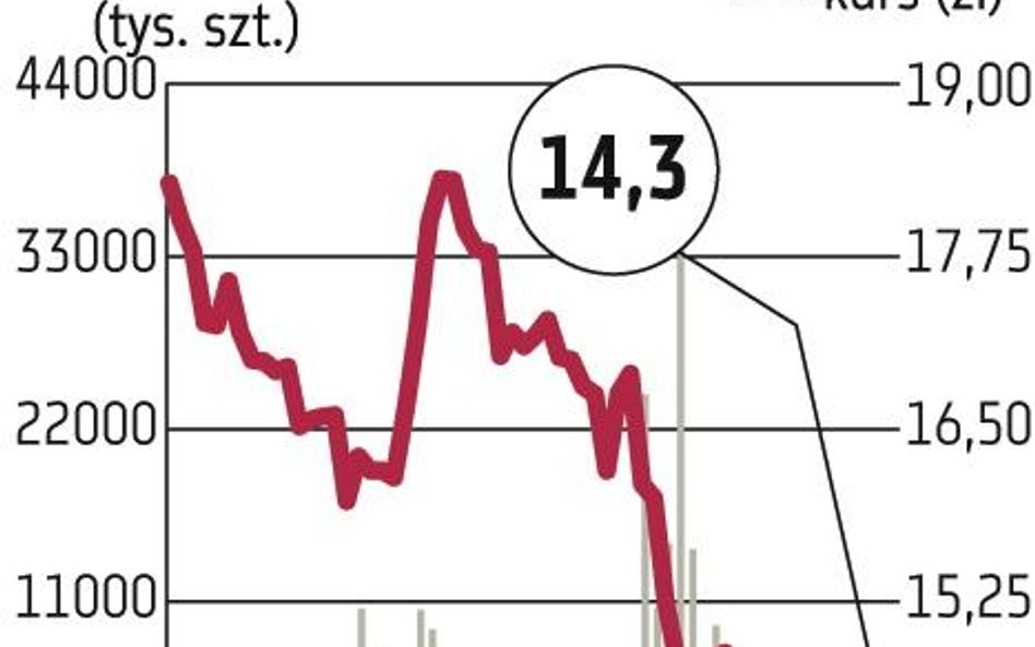 Sklejkowy biznes Pagedu trafi na giełdę w 2012 r.