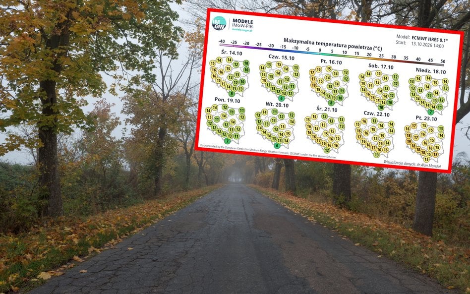 W najbliższych dniach spodziewać należy się mglistych poranków