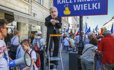 Platforma mogłaby w Gdańsku, Wrocławiu czy Łodzi wystawić nie żółtego psa, ale Pchłę Szachrajkę, a i