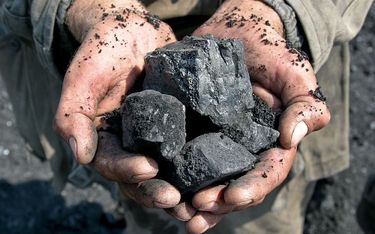 Kupujący węgiel nadal będą musieli podawać PESEL