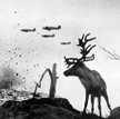 Sowieckie myśliwce nad polem bitwy. Rok 1941