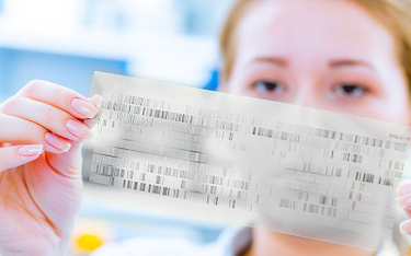 Rzecznik upomina się o uregulowanie zasad badań DNA