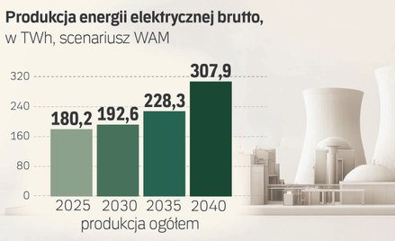Umowa pomostowa Polska-USA na atom. Co o niej wiemy?
