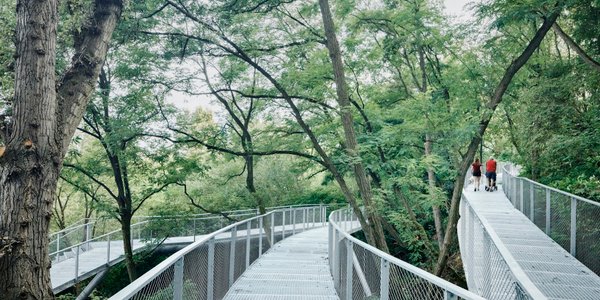 Park w Warszawie z szansą na czołową europejską nagrodę. Kolejne wyróżnienie