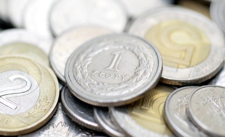 Kurs złotego pokazuje siłę